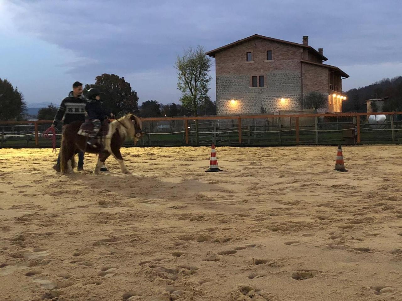 La Tenuta Del Campo Di Sopra Patrica Luaran gambar