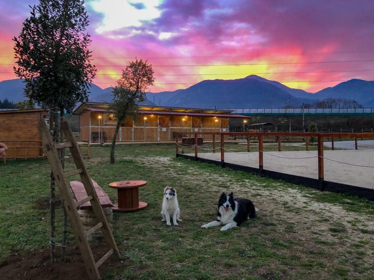 La Tenuta Del Campo Di Sopra Patrica Luaran gambar